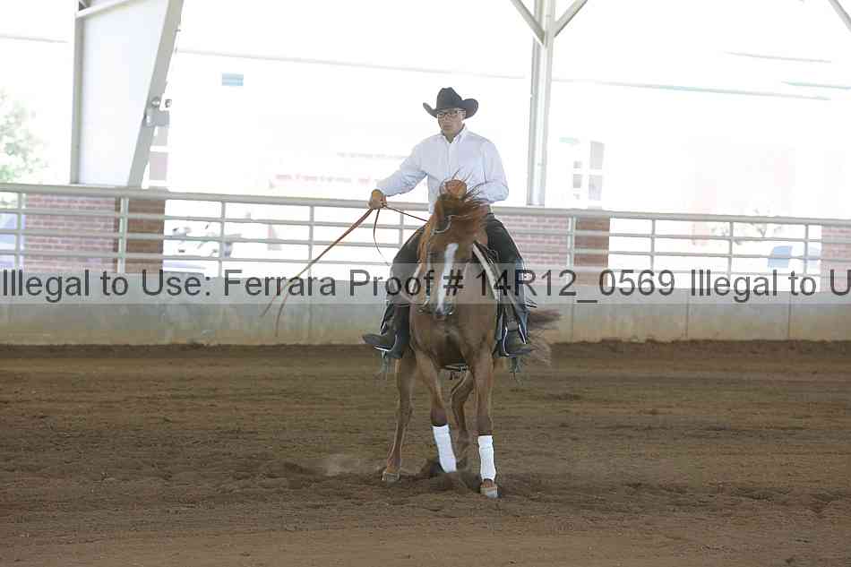 Proof Number 14r12_0569