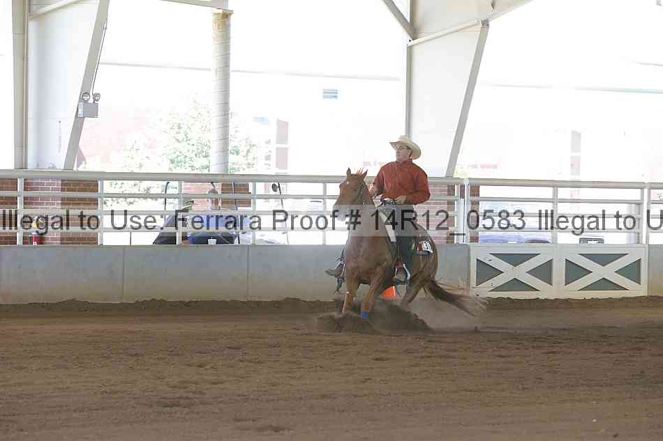 Proof Number 14r12_0583