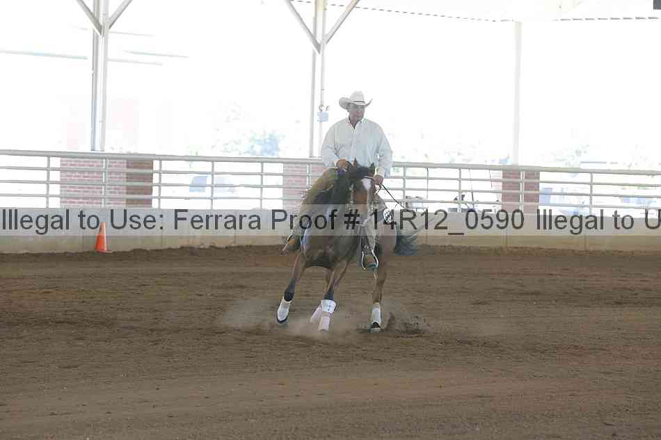 Proof Number 14r12_0590