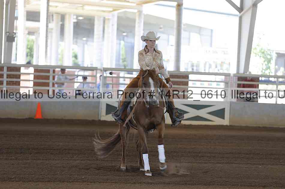 Proof Number 14r12_0610