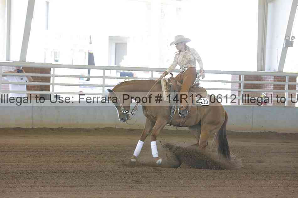 Proof Number 14r12_0612
