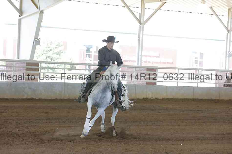 Proof Number 14r12_0632
