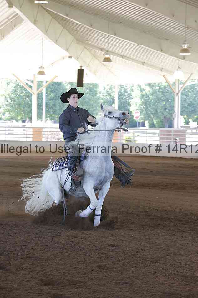 Proof Number 14r12_0635