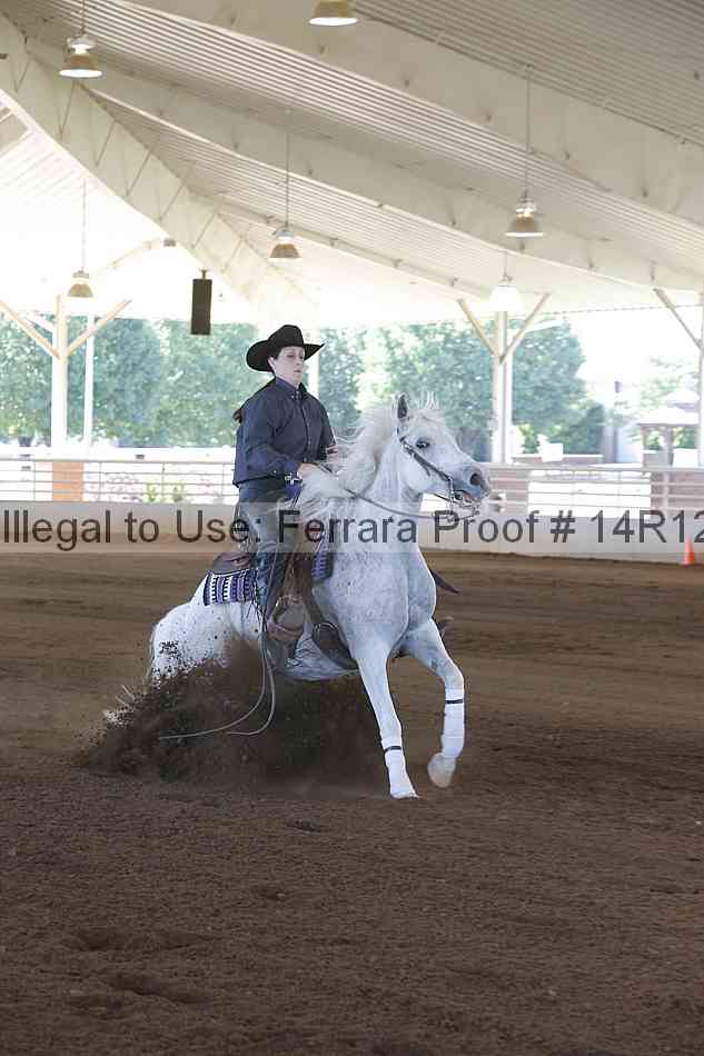 Proof Number 14r12_0636