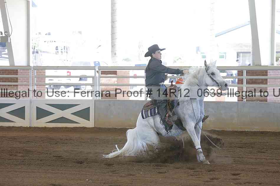 Proof Number 14r12_0639