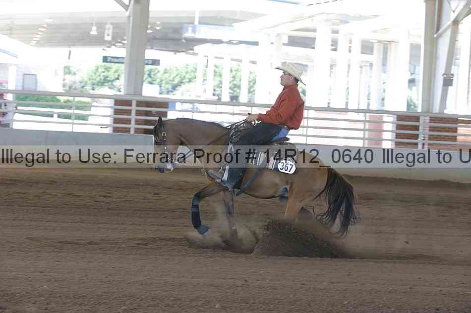 Proof Number 14r12_0640
