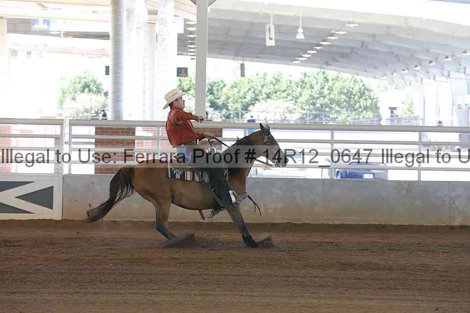 Proof Number 14r12_0647