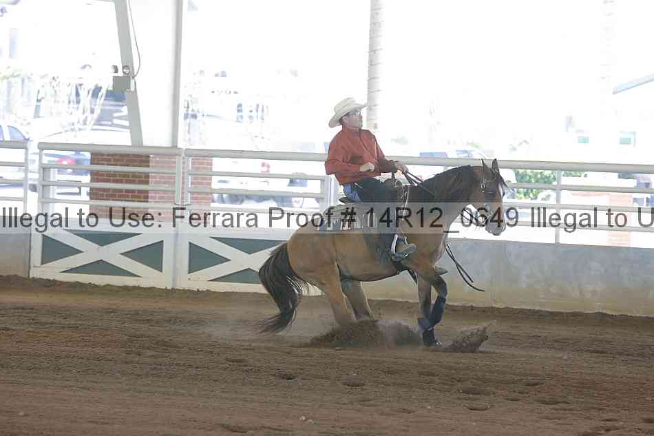 Proof Number 14r12_0649