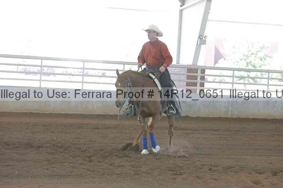Proof Number 14r12_0651