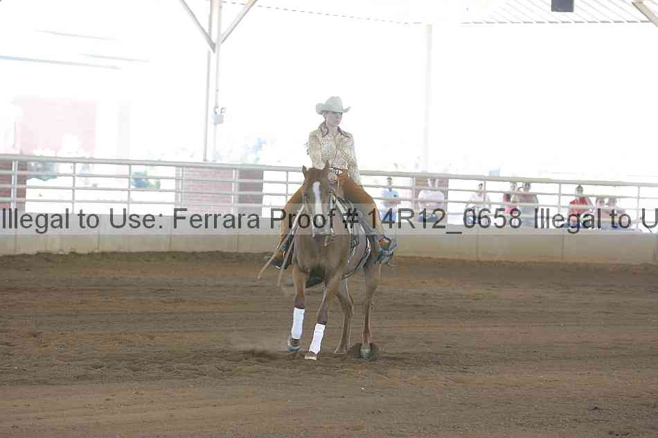 Proof Number 14r12_0658