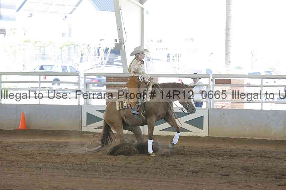 Proof Number 14r12_0665