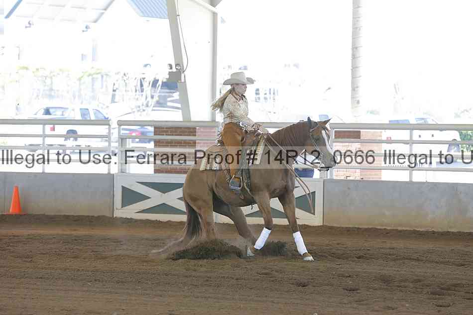 Proof Number 14r12_0666
