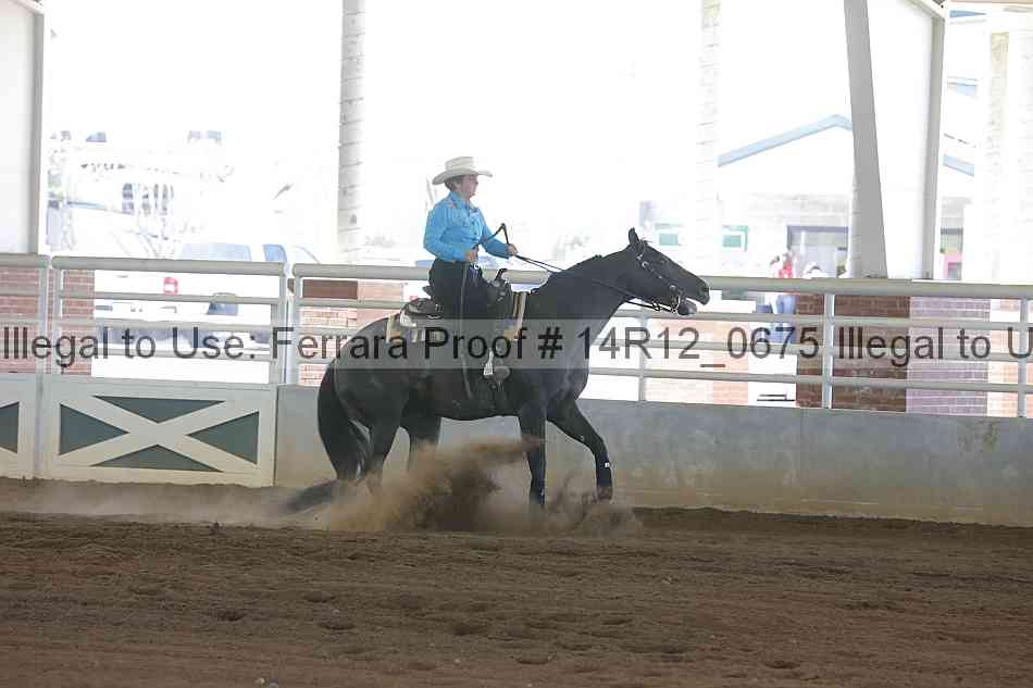 Proof Number 14r12_0675