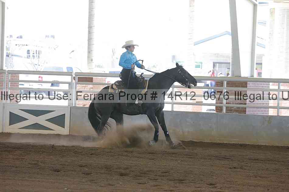 Proof Number 14r12_0676