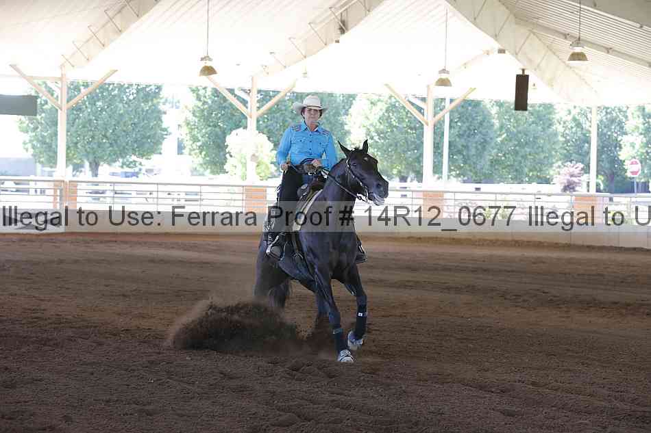 Proof Number 14r12_0677