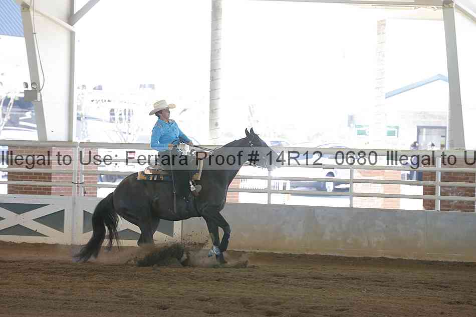 Proof Number 14r12_0680