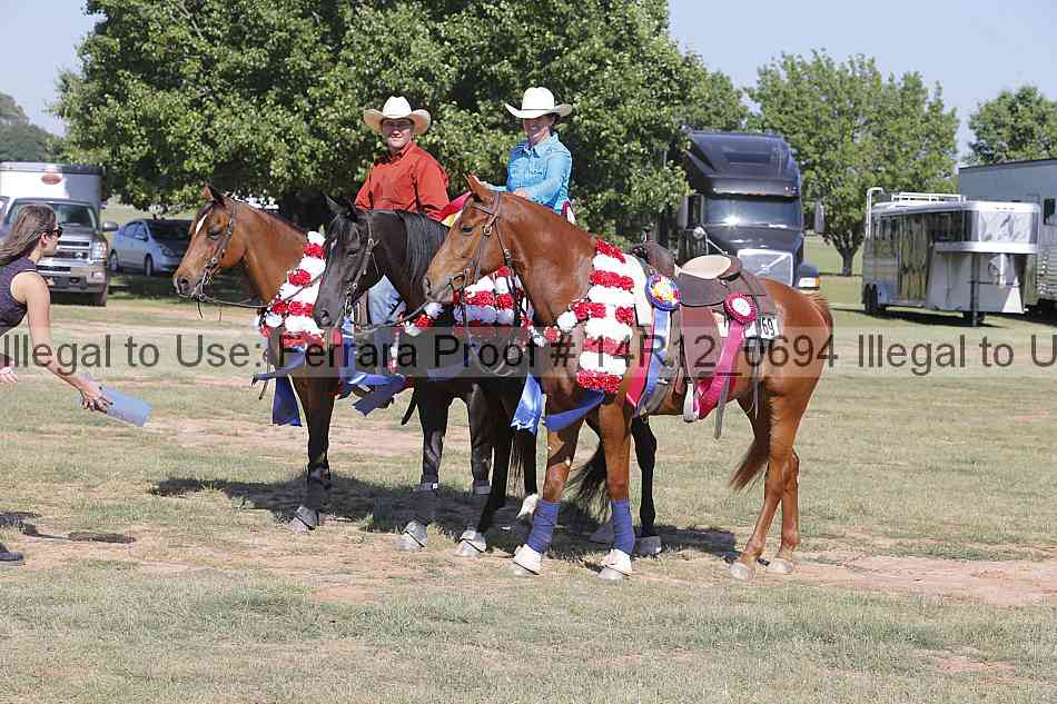 Proof Number 14r12_0694