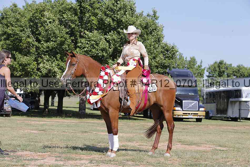 Proof Number 14r12_0701