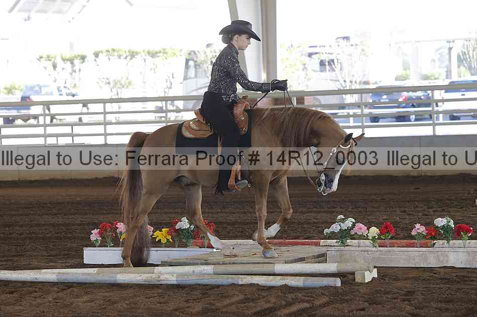 Proof Number 14r12_0003