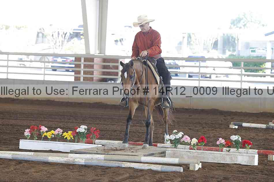 Proof Number 14r12_0009