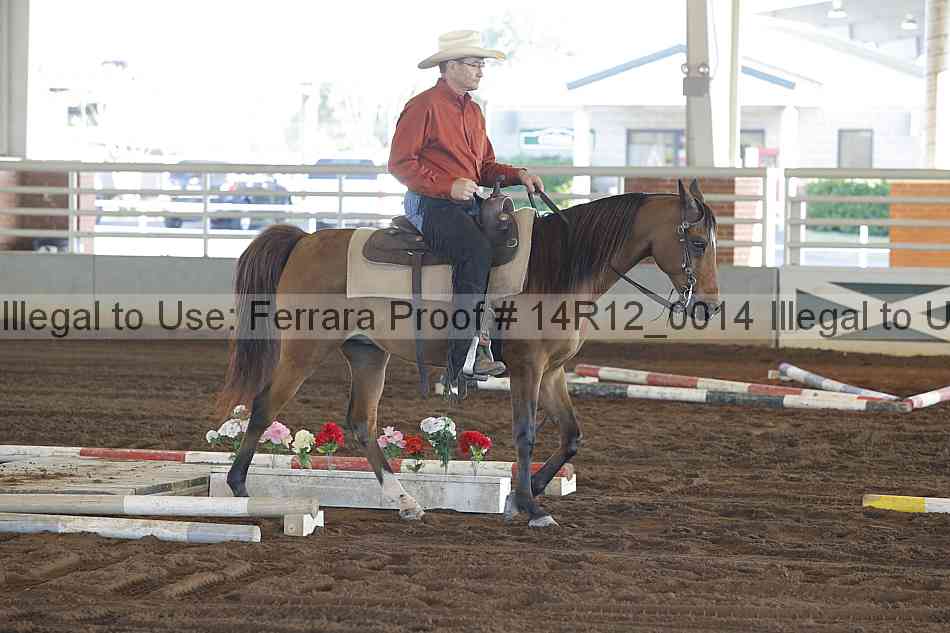 Proof Number 14r12_0014