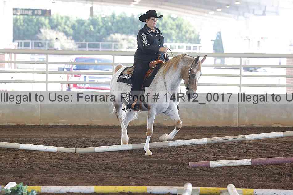 Proof Number 14r12_0017