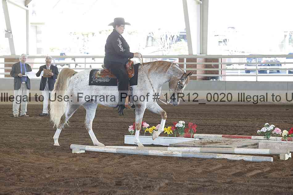 Proof Number 14r12_0020