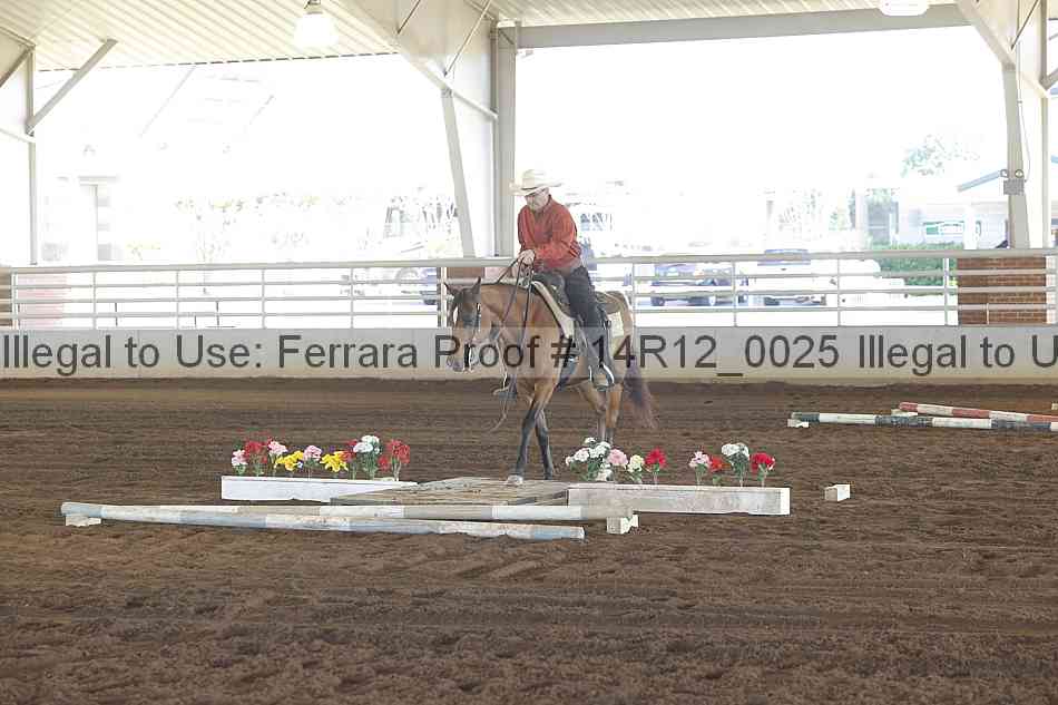 Proof Number 14r12_0025