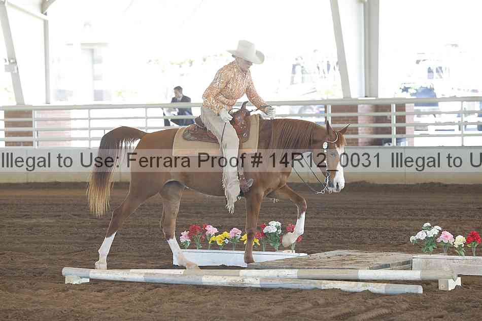 Proof Number 14r12_0031
