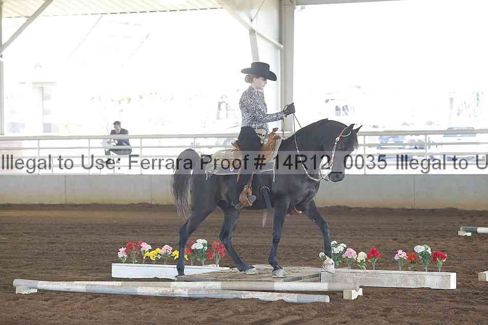 Proof Number 14r12_0035