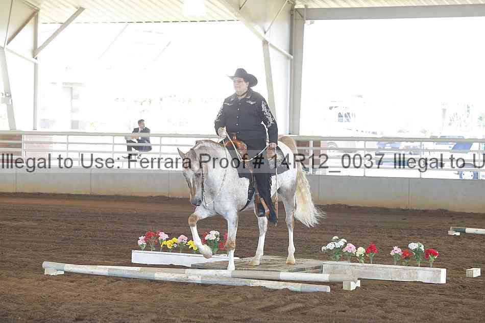 Proof Number 14r12_0037