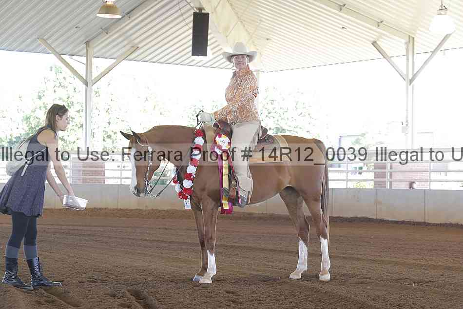 Proof Number 14r12_0039