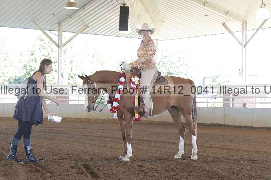 Proof Number 14r12_0041
