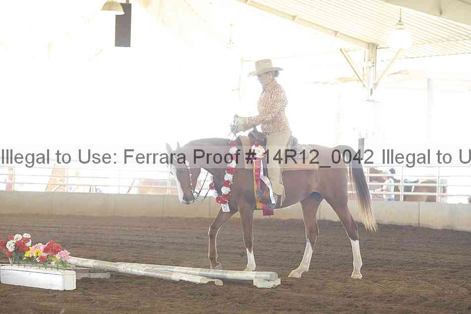 Proof Number 14r12_0042