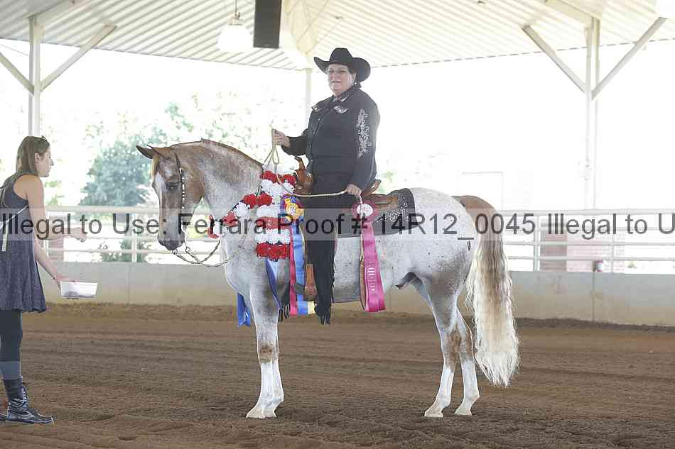 Proof Number 14r12_0045