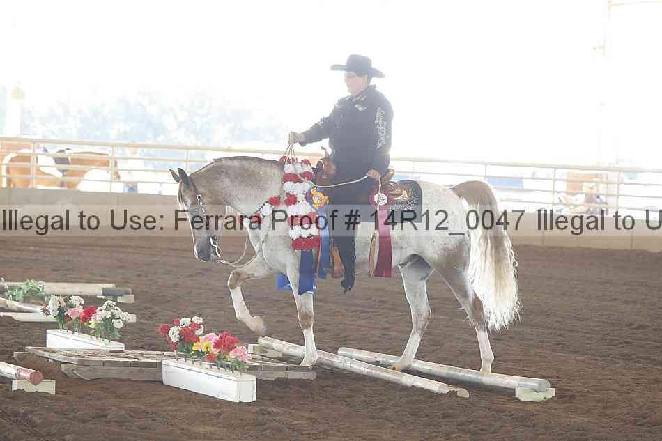 Proof Number 14r12_0047