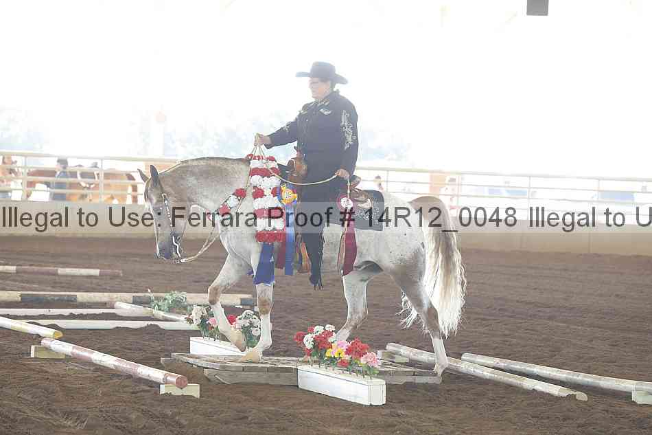 Proof Number 14r12_0048