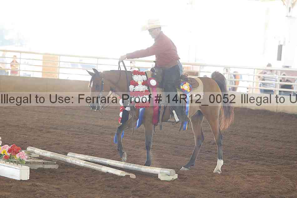 Proof Number 14r12_0052