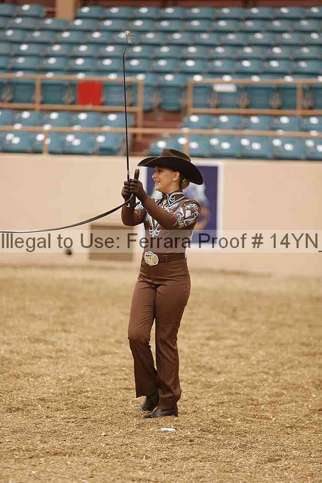 Proof Number 14yn_00077