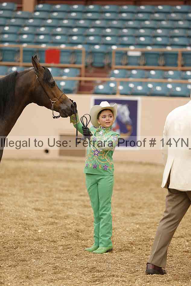 Proof Number 14yn_00088