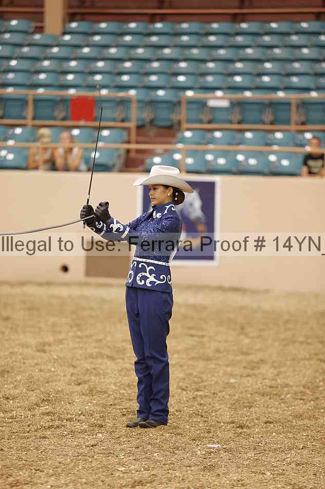 Proof Number 14yn_00123