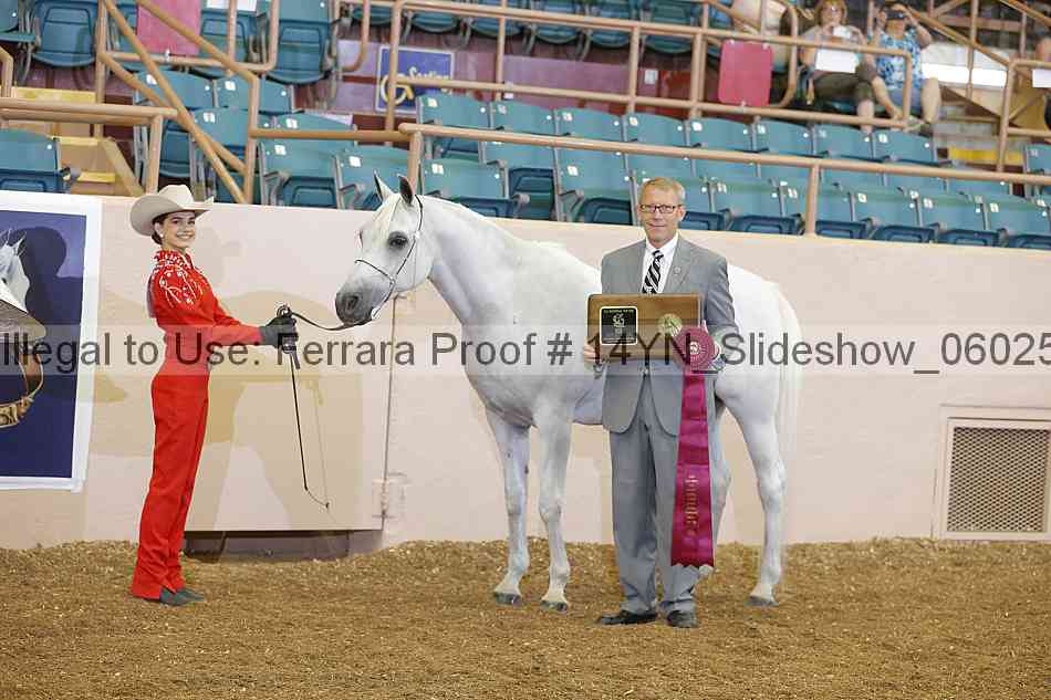 Proof Number 14yn_slideshow_06025
