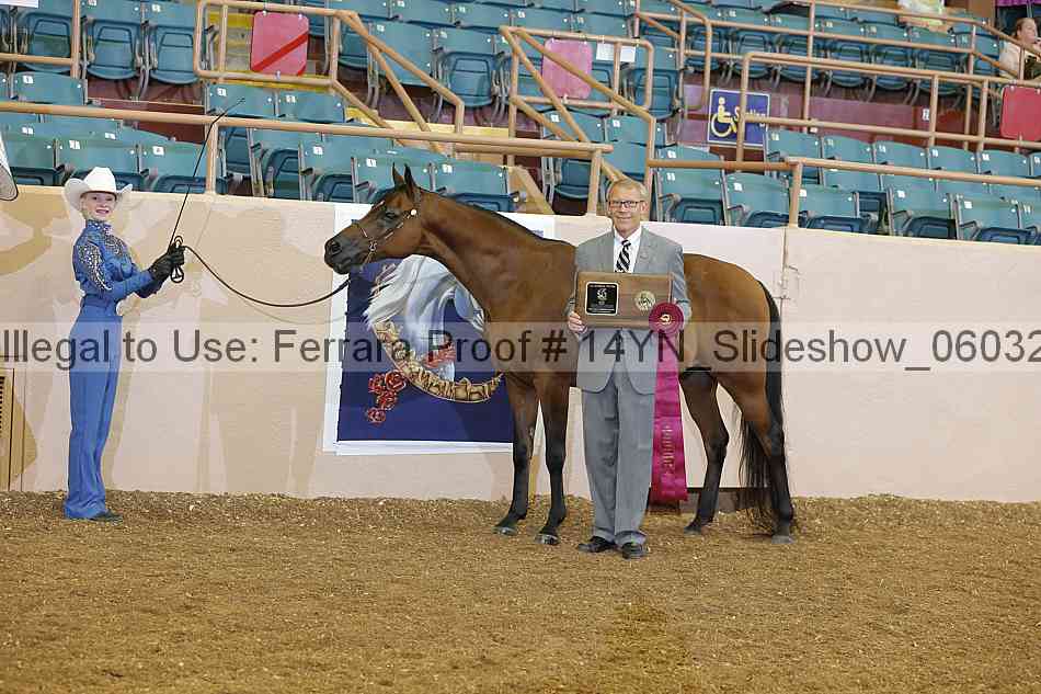 Proof Number 14yn_slideshow_06032