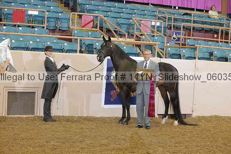 Proof Number 14yn_slideshow_06035
