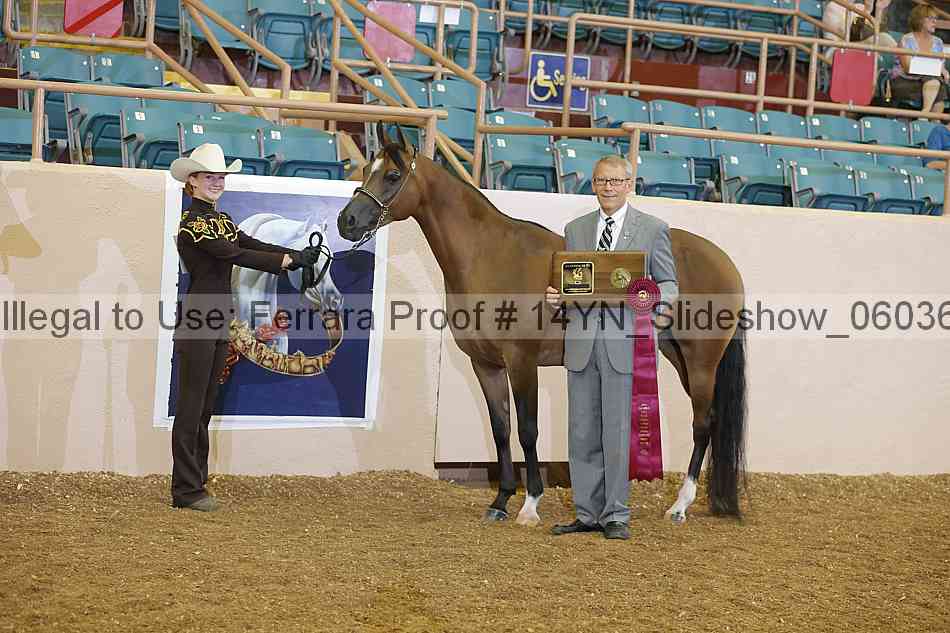 Proof Number 14yn_slideshow_06036