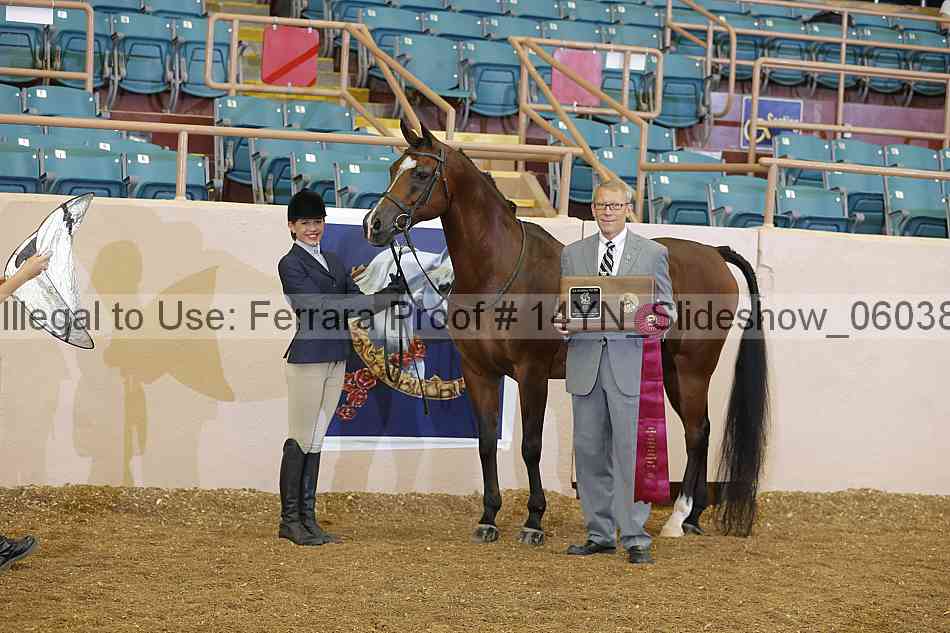 Proof Number 14yn_slideshow_06038