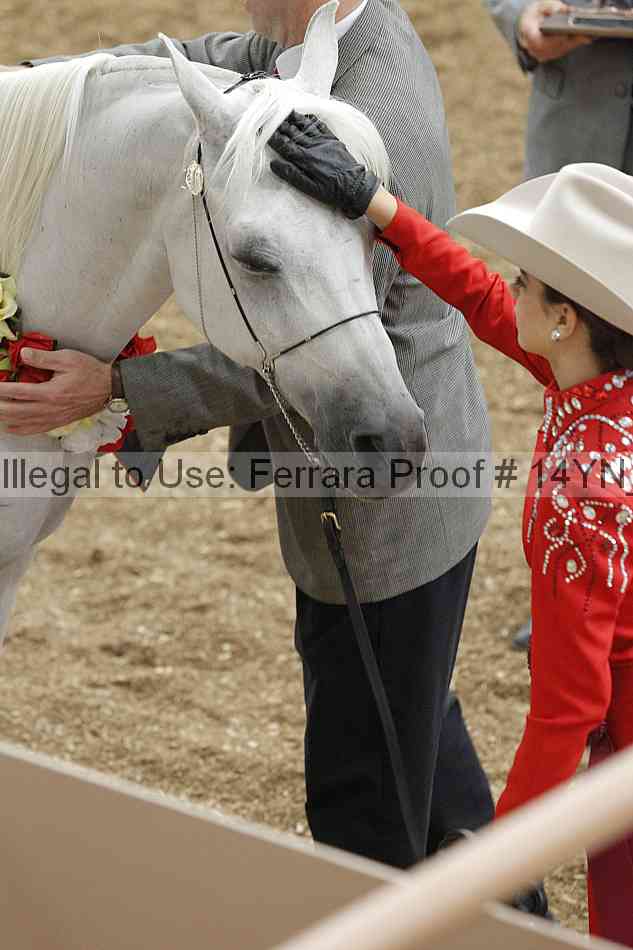 Proof Number 14yn_slideshow_06046