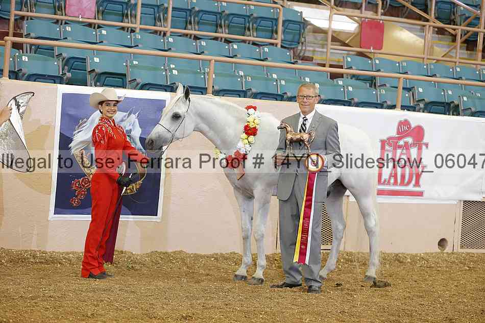 Proof Number 14yn_slideshow_06047