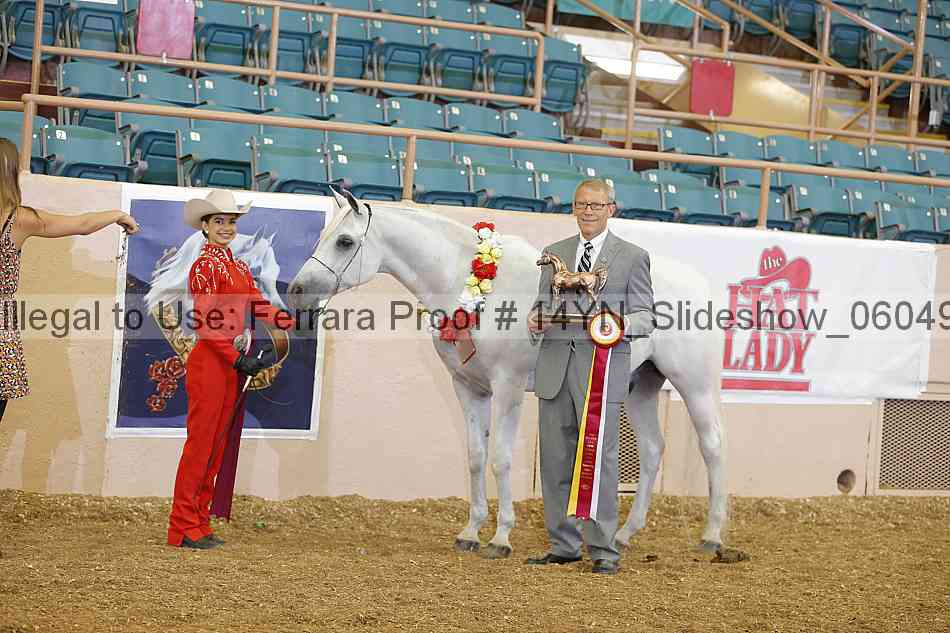 Proof Number 14yn_slideshow_06049