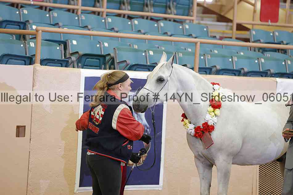 Proof Number 14yn_slideshow_06051